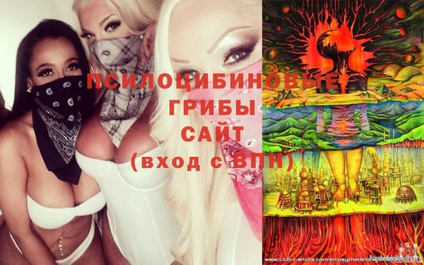 соль ск Новодвинск