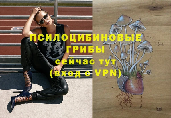 герыч Новозыбков